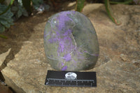 Polished Stichtite & Serpentine Standing Free Form x 1 From Barberton, South Africa