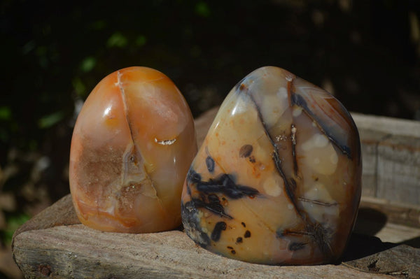 Polished Carnelian Agate Standing Free Forms  x 2 From Madagascar