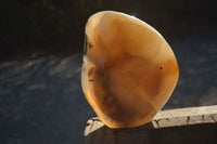 Polished Moralambo Dendrite Crystalline Agate Standing Free Form x 1 From Madagascar - Toprock Gemstones and Minerals 