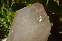 Polished Large Semi Optic Highly Translucent Smokey Quartz Point x 1 From Madagascar - TopRock