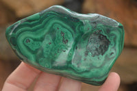 Polished Flower Malachite Free Forms  x 6 From Congo