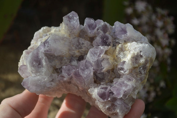 Natural Sugar Amethyst Clusters x 4 From Solwezi, Zambia