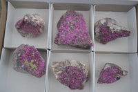 Natural Pink Salrose Cobaltion Dolomite Specimens  x 6 From Congo - Toprock Gemstones and Minerals 