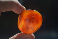 Polished Carnelian Agate Palm Stones  x 12 From Madagascar - Toprock Gemstones and Minerals 