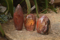 Polished Red Podocarpus Petrified Wood Standing Free Forms x 3 From Mahajanga, Madagascar