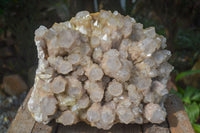 Natural Extra Large Cascading White Phantom Smokey Quartz Cluster x 1 From Luena, Congo