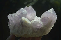 Natural Jacaranda Amethyst Clusters x 2 From Mumbwa, Zambia - TopRock