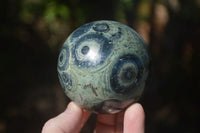 Polished Stromatolite / Kambamba Jasper Spheres  x 2 From Katsepy, Madagascar - Toprock Gemstones and Minerals 