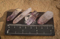 Natural Single Amethyst Crystals  x 70 From Chiredzi, Zimbabwe