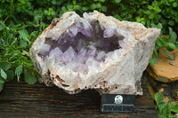 Natural Jacaranda Amethyst Cluster x 1 From Mumbwa, Zambia