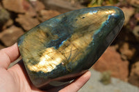 Polished Labradorite Standing Free Forms With Intense Blue & Gold Flash x 2 From Sakoany, Madagascar - TopRock