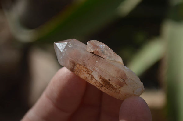 Natural Small Red Hematoid Quartz Crystals x 70 From Karoi, Zimbabwe