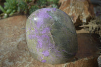 Polished Stichtite & Serpentine Standing Free Form x 1 From Barberton, South Africa