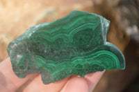 Polished Flower & Banded Malachite Slices  x 12 From Congo - Toprock Gemstones and Minerals 