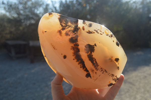 Polished Moralambo Dendrite Crystalline Agate Standing Free Form x 1 From Madagascar - Toprock Gemstones and Minerals 