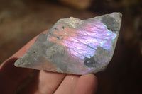 Polished  One Side Polished Purple Labradorite Slabs  x 24 From Tulear, Madagascar