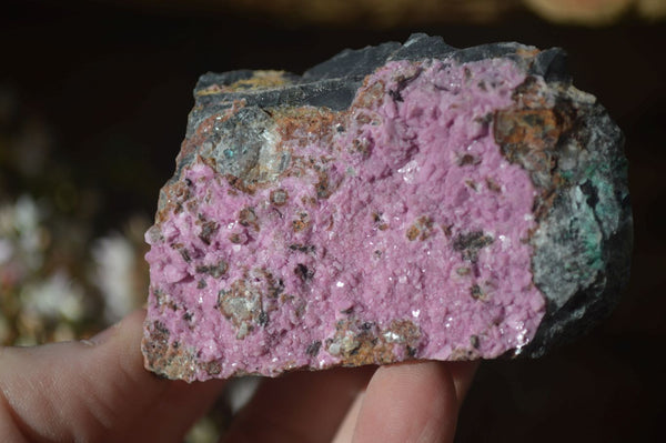 Natural Salrose Cobaltion Dolomite Specimens x 12 From Kakanda, Congo