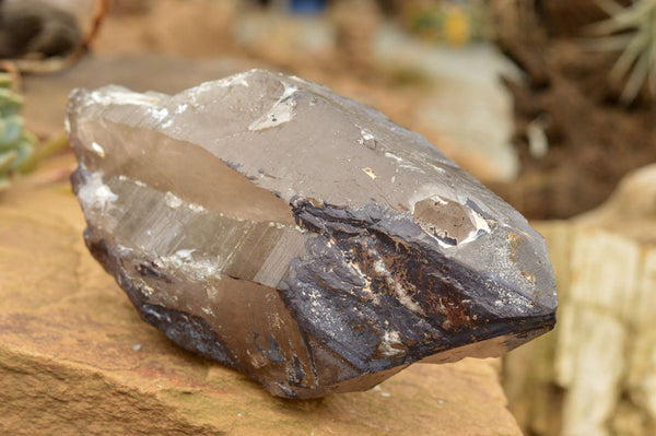 Natural Large Smokey Quartz Crystal  x 1 From Mt. Mulanje, Malawi - TopRock