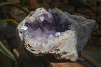 Natural Jacaranda Amethyst Cluster x 1 From Mumbwa, Zambia