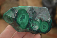 Polished Flower Malachite Free Forms  x 6 From Congo