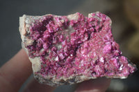 Natural Pink Salrose Cobaltion Dolomite Specimens  x 6 From Kakanda, Congo - Toprock Gemstones and Minerals 