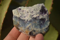 Polished  One Side Polished Watermelon Fluorite Pieces  x 10 From Uis, Namibia