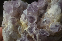 Natural Sugar Amethyst Clusters x 4 From Solwezi, Zambia