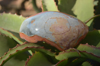 Polished Polychrome Jasper Domed Pieces  x 4 From Mahajanga, Madagascar