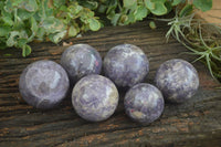 Polished Purple Rubellite Spheres (Some With Rubellite) x 6 From Madagascar - TopRock