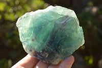 Natural Cobbed & Stone Sealed Watermelon Fluorite Pieces x 12 From Uis, Namibia - TopRock