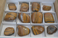 Polished Golden Tigers Eye Free Forms x 12 From Prieska, Northern Cape