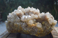 Natural Extra Large Cascading White Phantom Smokey Quartz Cluster x 1 From Luena, Congo