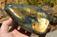 Polished Labradorite Standing Free Forms With Intense Blue & Gold Flash x 2 From Sakoany, Madagascar - TopRock