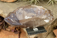 Natural Large Smokey Quartz Crystal  x 1 From Mt. Mulanje, Malawi - TopRock