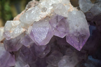 Natural Jacaranda Amethyst Cluster x 1 From Mumbwa, Zambia