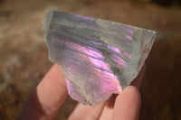 Polished  One Side Polished Purple Labradorite Slabs  x 24 From Tulear, Madagascar