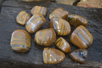 Polished Golden Tigers Eye Free Forms x 12 From Prieska, Northern Cape