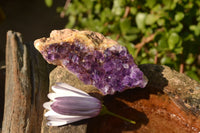 Natural Dark "Amethystos" Amethyst Plates  x 12 From Kwaggafontein, South Africa - TopRock