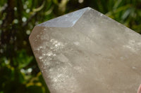 Polished Large Semi Optic Highly Translucent Smokey Quartz Point x 1 From Madagascar - TopRock