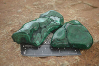 Polished Flower Malachite Free Forms  x 6 From Congo