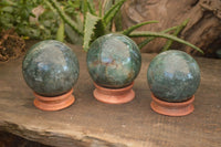 Polished  Green Fuchsite Quartz Spheres With Rosewood Stands  x 6 From Madagascar