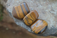 Polished Golden Tigers Eye Free Forms x 12 From Prieska, Northern Cape