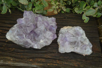 Natural Jacaranda Amethyst Clusters  x 2 From Mumbwa, Zambia - Toprock Gemstones and Minerals 