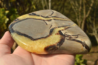 Polished Septerye (Aragonite & Calcite) Slices x 12 From Mahajanga, Madagascar - TopRock