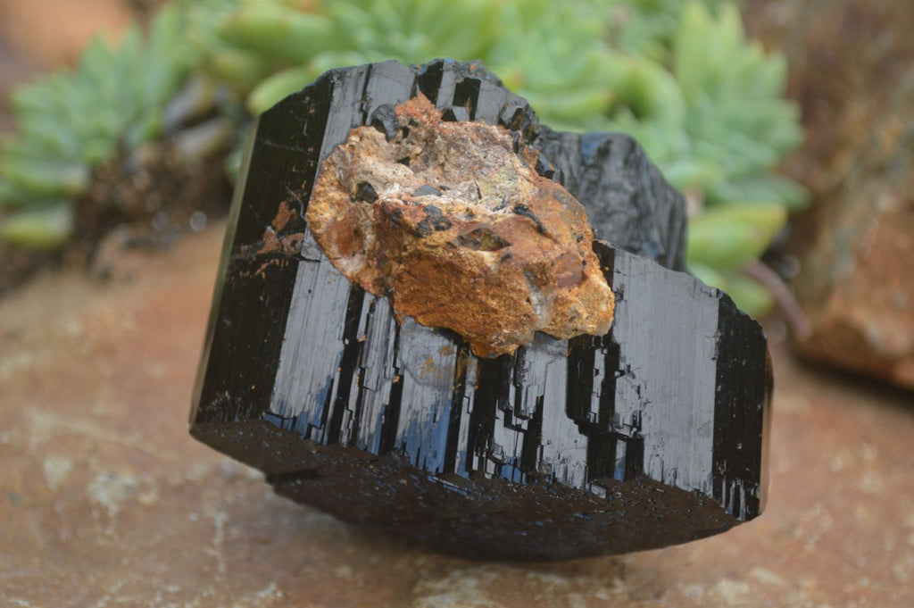 Black Tourmaline crystal from Erongo Mtns, Namibia sold - 33gm / 33mm x 29mm x 23mm (F90036)