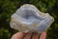 Natural Blue Lace Agate Geode Specimens  x 12 From Nsanje, Malawi