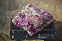 Natural Pink Salrose Cobaltion Dolomite Specimens  x 6 From Kakanda, Congo - Toprock Gemstones and Minerals 