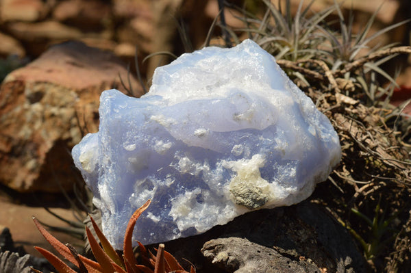 Natural Blue Lace Agate Geode Specimens  x 3 From Nsanje, Malawi - TopRock