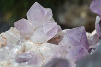 Natural Jacaranda Amethyst Cluster x 1 From Mumbwa, Zambia