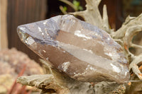 Natural Large Smokey Quartz Crystal  x 1 From Mt. Mulanje, Malawi - TopRock